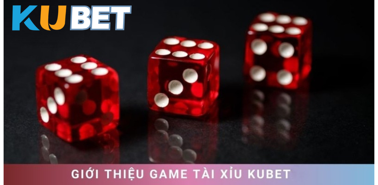 Giới thiệu chung về WR5277 & game tài xỉu online